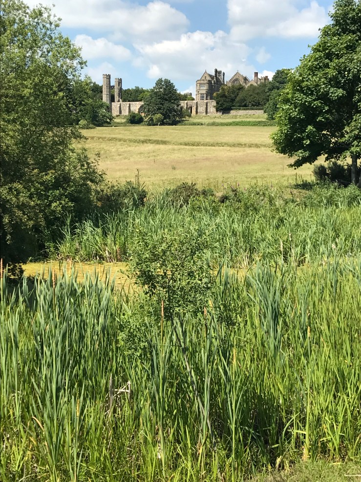 20170618_132505317_iOS