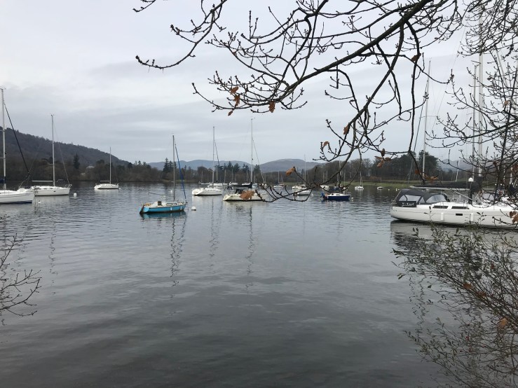 20171115_130125648_iOS