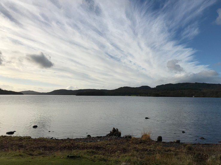 20171116_103325162_iOS