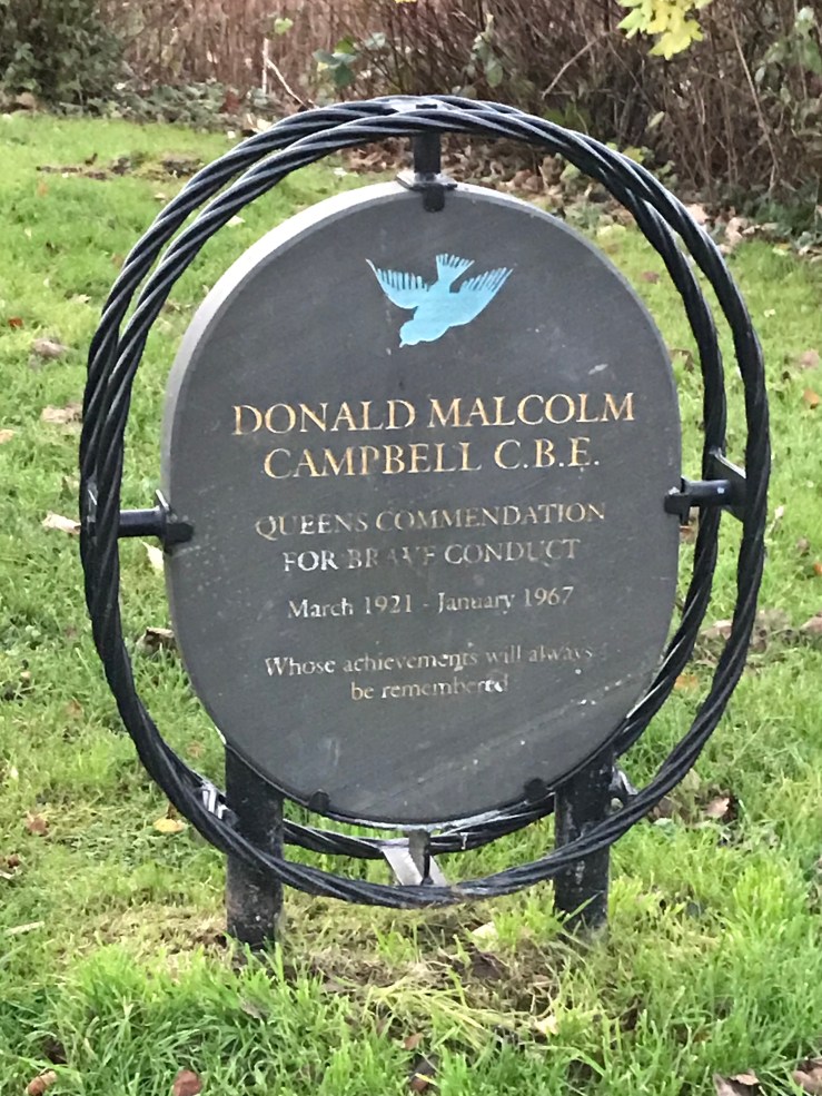 20171116_161709940_iOS